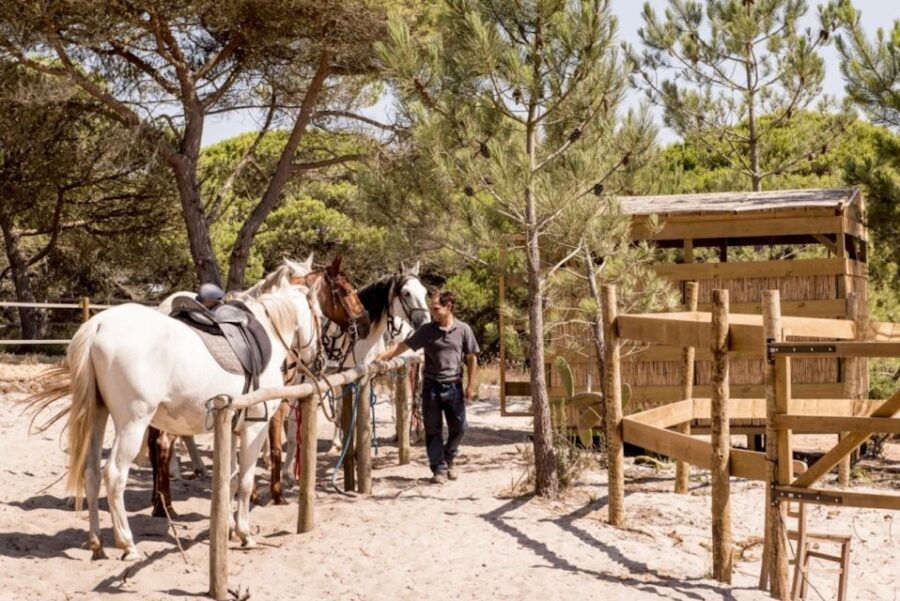 Melides: Horse Riding on the Beach With Wine Tasting