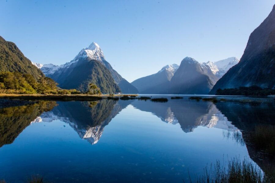 Milford Sound Fiord Cruise & Helicopter Glacier Landing - Good To Know