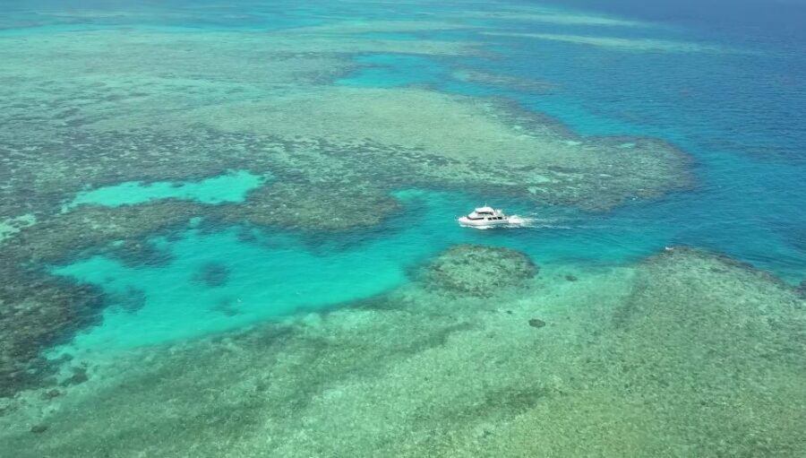 Mission Beach: Great Barrier Reef Snorkel or Dive Cruise - Good To Know