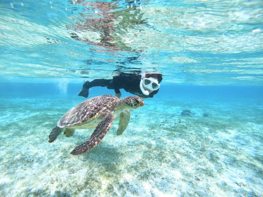 Miyako Island: Kayaking and Snorkeling Experience - Good To Know