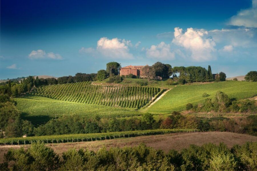 Montalcino: Brunello Wine Tasting & Lunch in a Tuscan Castle - Good To Know