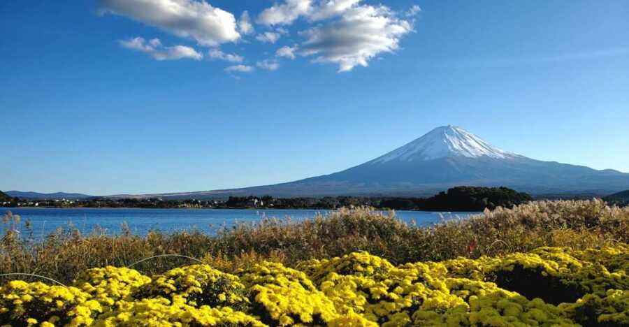 Mount Fuji Personalized Private Tour W/English Guide - Good To Know
