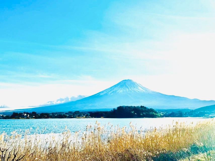 Mt.Fuji Day Tour:Oshino Hakkai,Kawaguchi Lake From Tokyo - Good To Know
