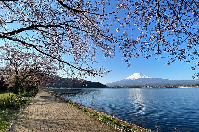 Mt Fuji Wineries Half-Day Tour - Good To Know