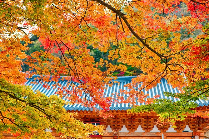 Naejangsan National Park Autumn Foliage Tour From Busan