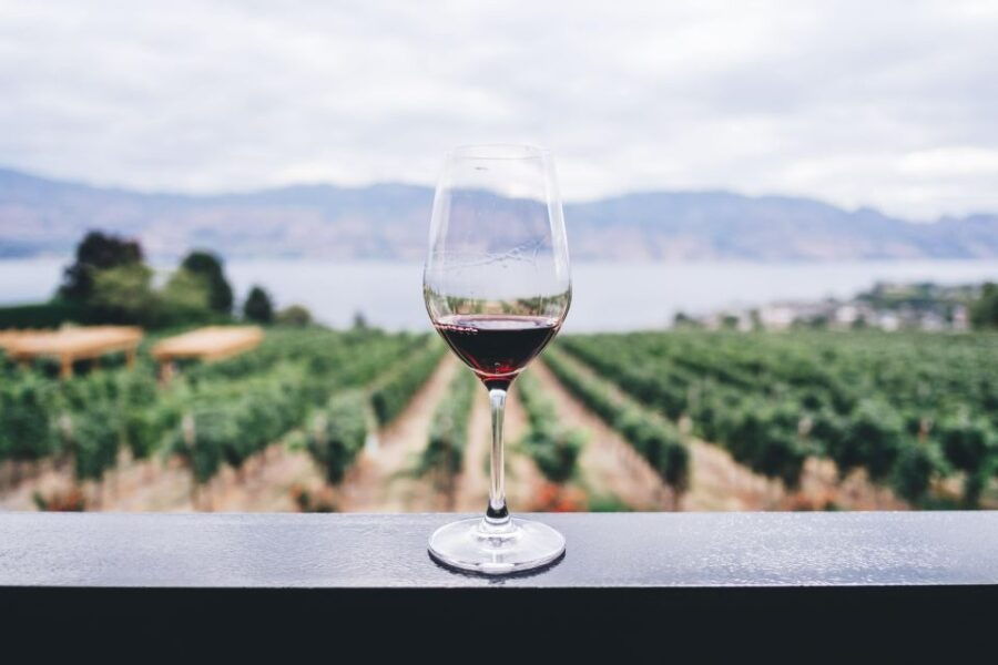 Napier: Art Deco Bike Ride and Wineries Loop