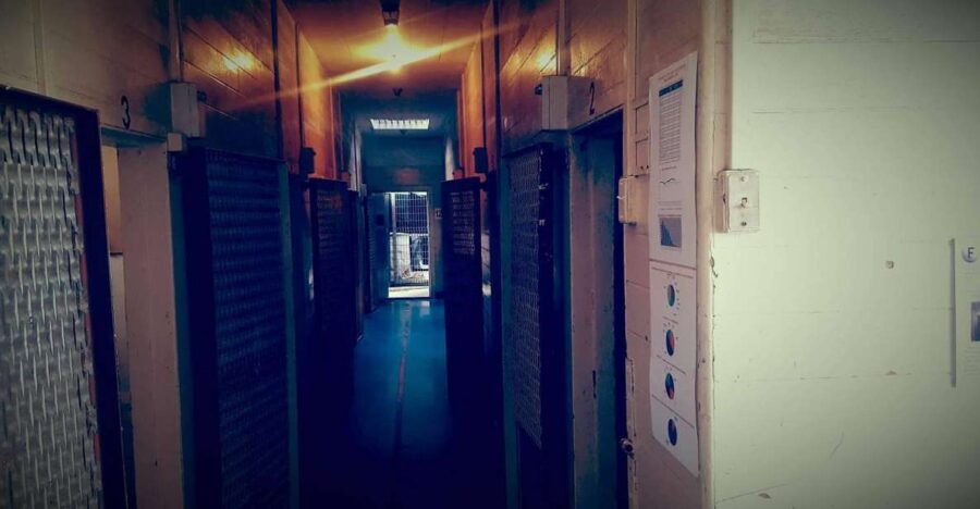Napier Prison Self-Guided Audio Tour - Good To Know