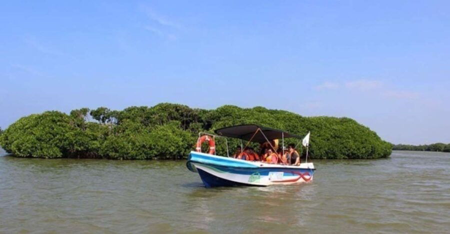 Negombo: Muthurajawela Wetland & Dutch Canal Boat Tour - Good To Know