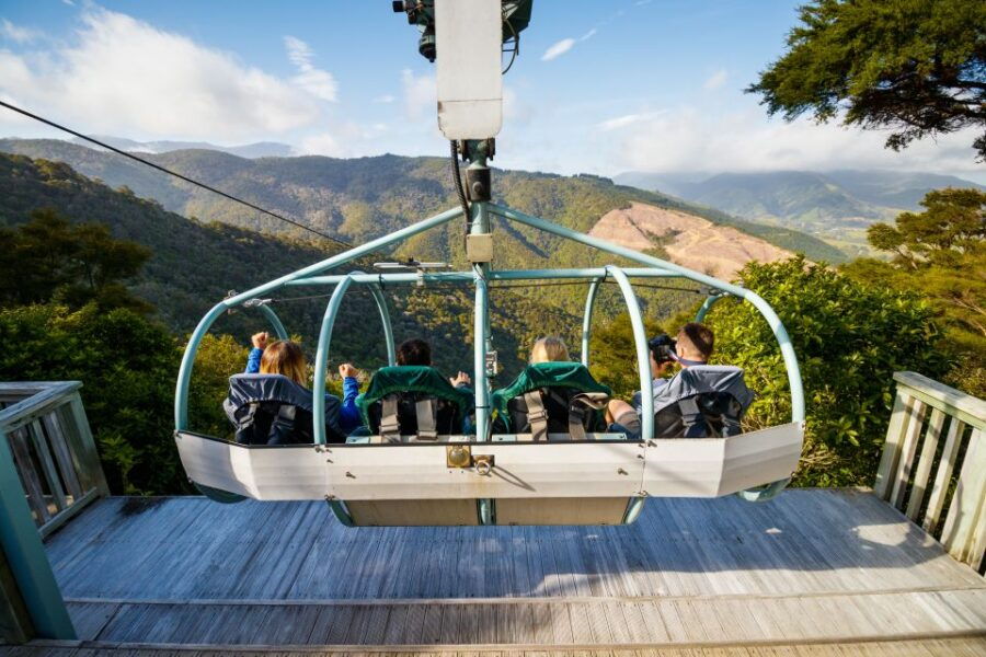 Nelson: Cable Bay Adventure Park Skywire Ticket
