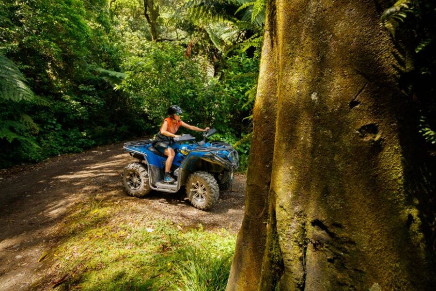 Nelson: Guided Quad Biking Tour Through Forest and Farmland - Good To Know