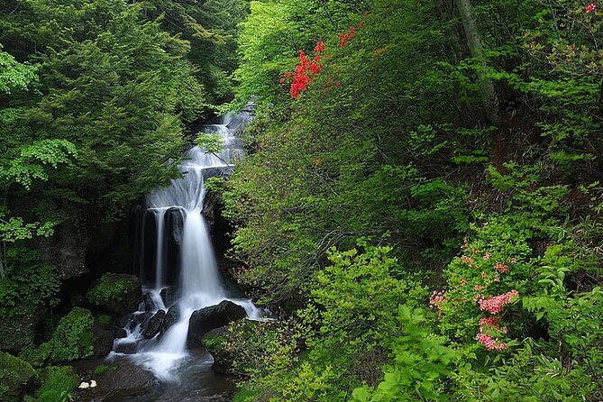 Nikko City Private Day Tour With English Speaking Driver - Good To Know