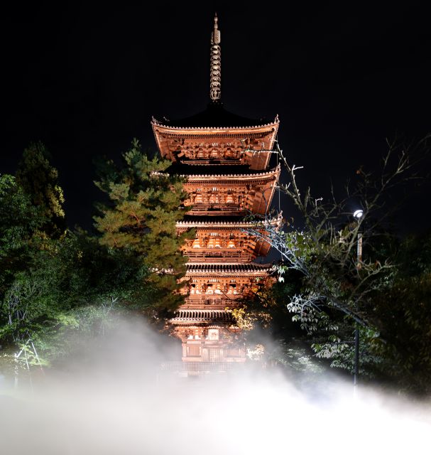 Ninnaji Temple: Special Entry for Unkai Light-up