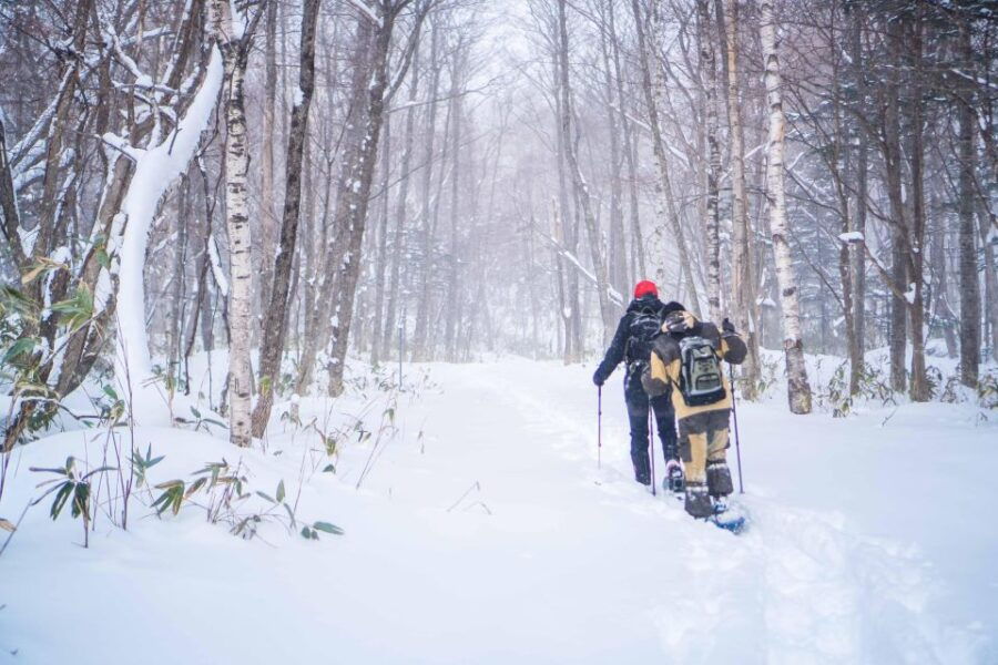 Noboribetsu: Snowshoe Trip to Ice Caves