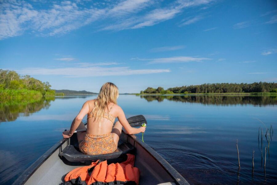 Noosa: Everglades Explorer Cruise With Optional Canoeing
