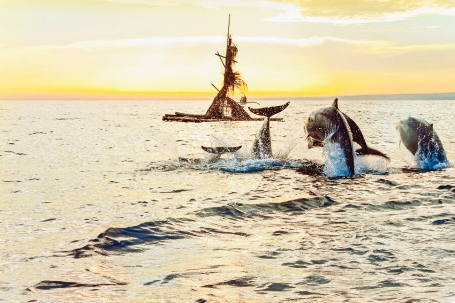 North Bali: Sunrise Tour With Dolphins, Waterfalls & Temples - Good To Know