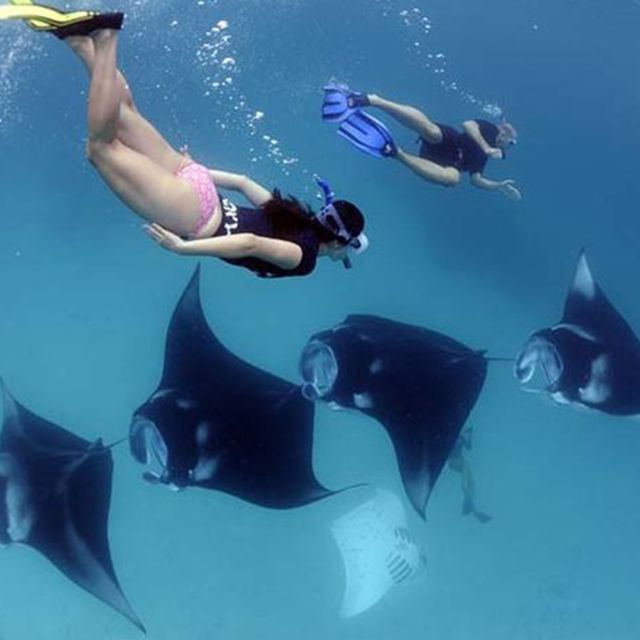 Nusa Penida: Private Snorkeling Boat Trip With Manta Rays - Good To Know