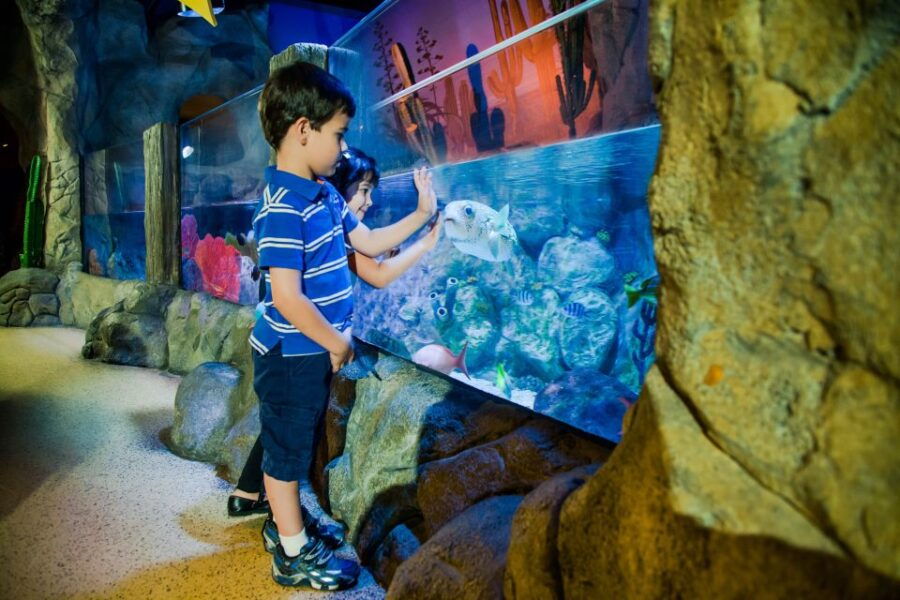 Oberhausen: LEGOLAND Discovery Centre and SEA LIFE Ticket