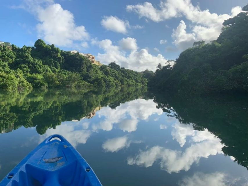 Okinawa: Mangrove Kayaking Tour - Good To Know