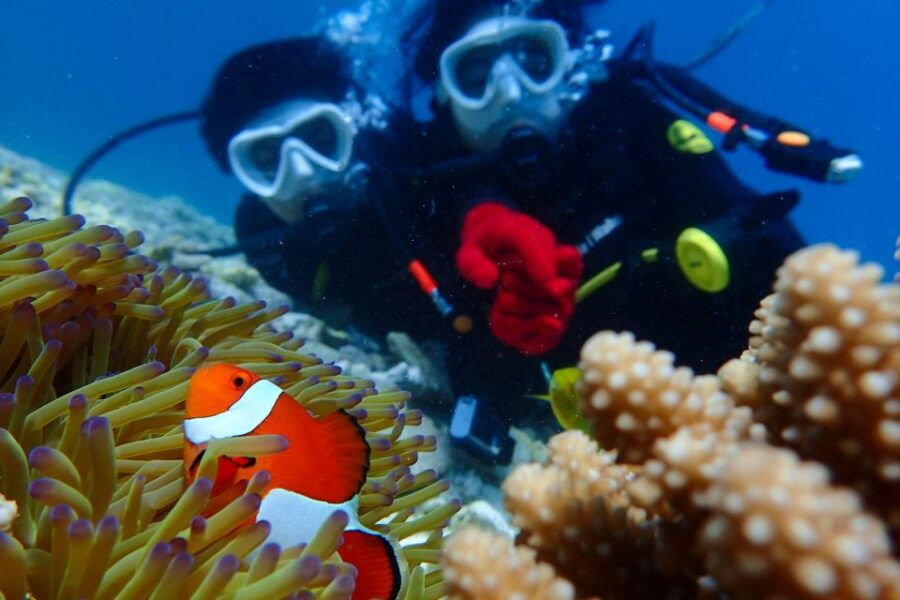 Okinawa: Scuba Diving Tour With Wagyu Lunch & English Guide