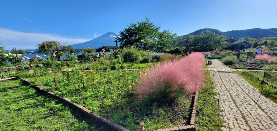One Day Private Tour of Mount Fuji