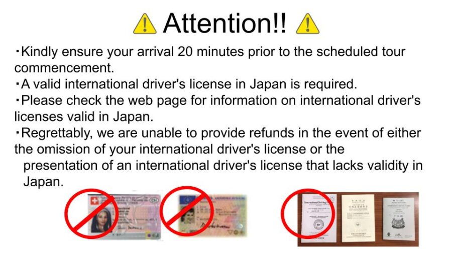 Osaka: Street Kart Experience on Public Roads - Good To Know