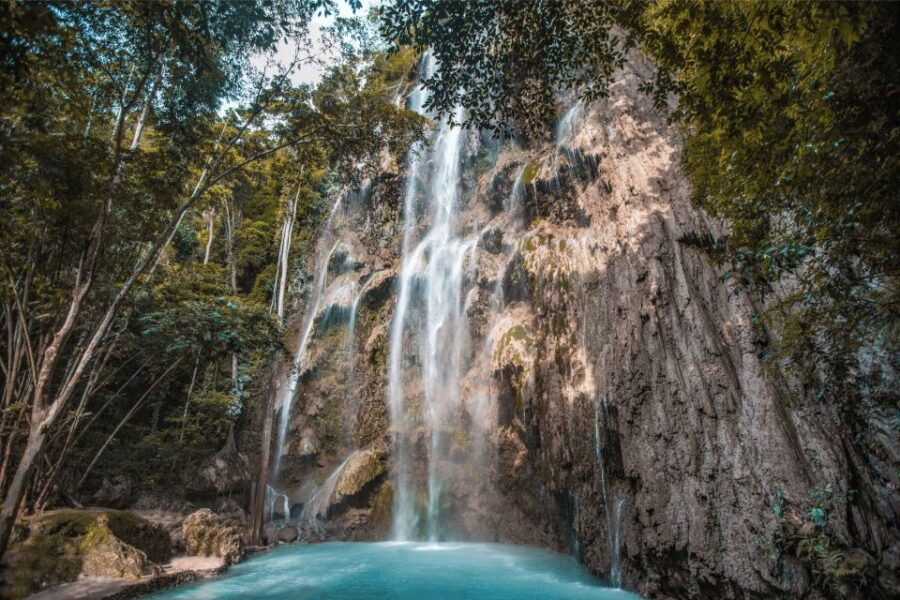 Oslob: Baleias Tubarões, Cachoeira Tumalog E Passeio Privado De Macacos