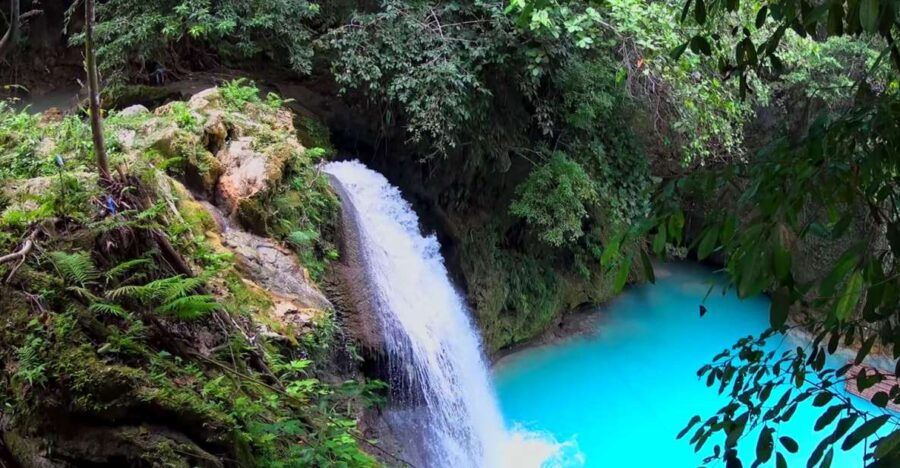 Oslob Whale Shark Encounter With Kawasan Canyoneering