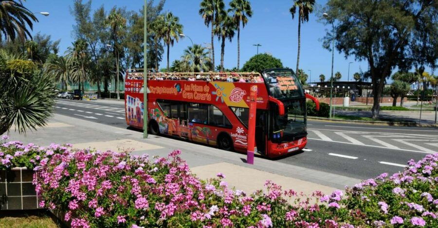 Palma: 24-Hour Hop-On Hop-Off Bus Tour With Audio Commentary - Good To Know