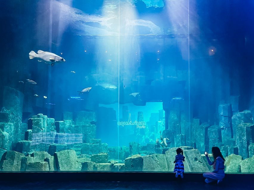 Paris: Aquarium De Paris Entrance Ticket - Good To Know