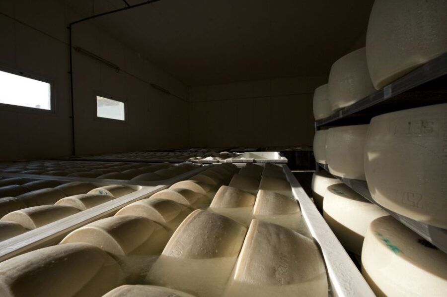 Parma: Traditional Cheese Factory Visit With Tasting - Good To Know