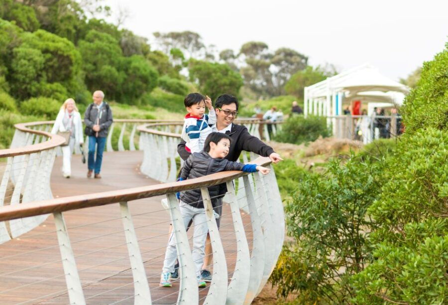 Penguin Parade: General Viewing Entry Ticket - Good To Know