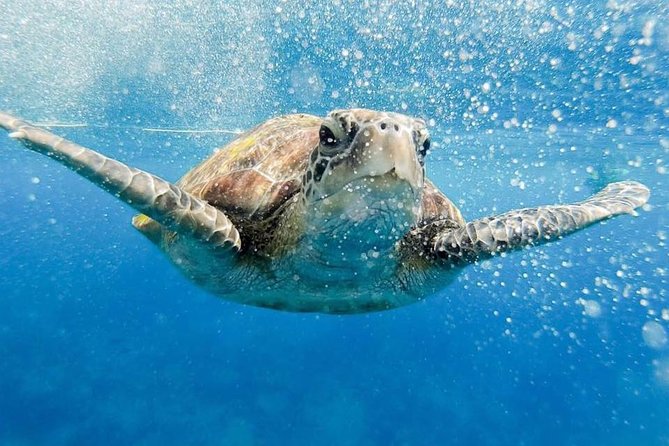 Phi Phi Full Day Tour - Small Group 12 Pax From Krabi - Good To Know