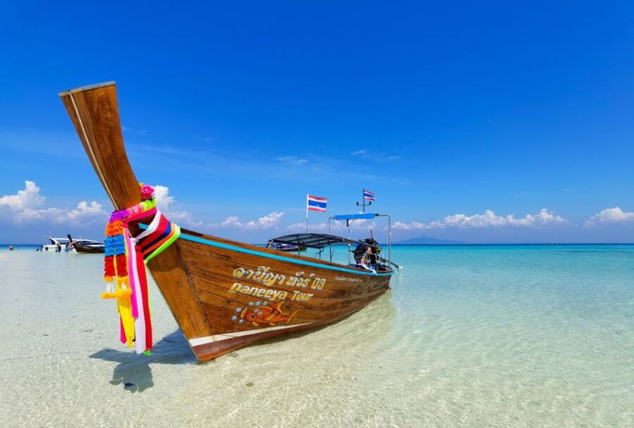 Phi Phi: Private Longtail Boat to Maya Bay With Snorkeling - Good To Know