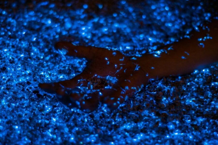 Phi Phi: Private Sunset & Bioluminescent Plankton Boat Tour - Good To Know