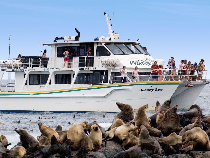 Philip Island: Seal Watching Cruise - Good To Know