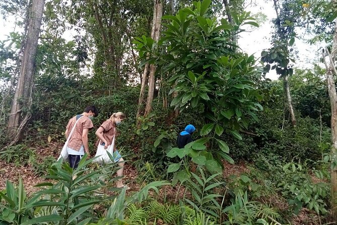 Phuket: Elephant Sanctuary Small Group Tour