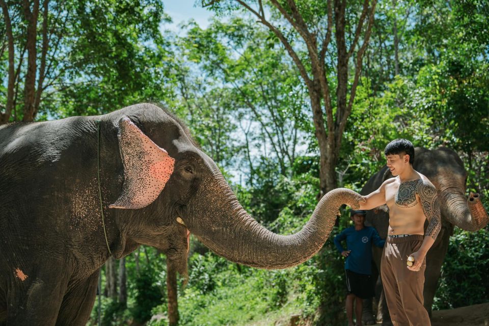 Phuket: Feeding Elephants at Phuket Elephant Care - Good To Know