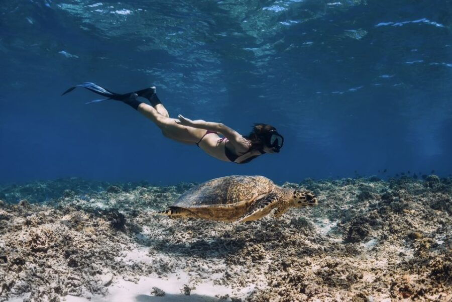 Phuket: Similan Day Trip by Speedboat - Good To Know