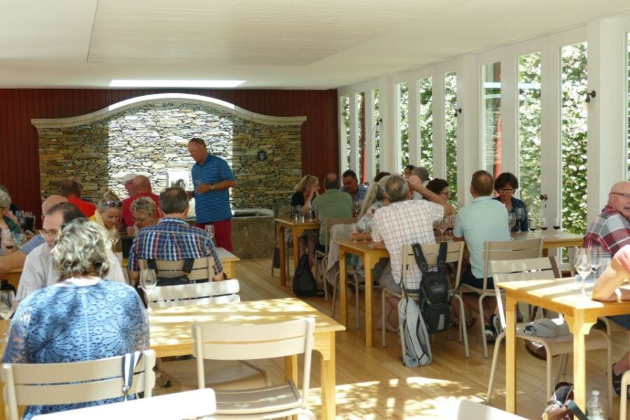 Pinhão: Quinta Do Bomfim Visit and Tasting - Good To Know