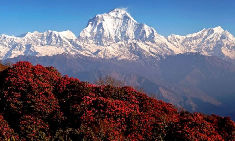 Pokhara: 3-Day Ghorephani & PoonHill Himalayan Paradise Trek - Good To Know