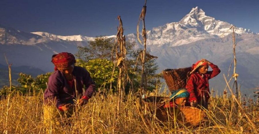 Pokhara: Day Hike With Annapurna Himalayas Rang View Tour - Good To Know