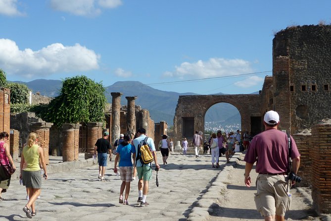 Pompeii Vesuvius Day Trip From Naples With Pizza or Wine Tasting