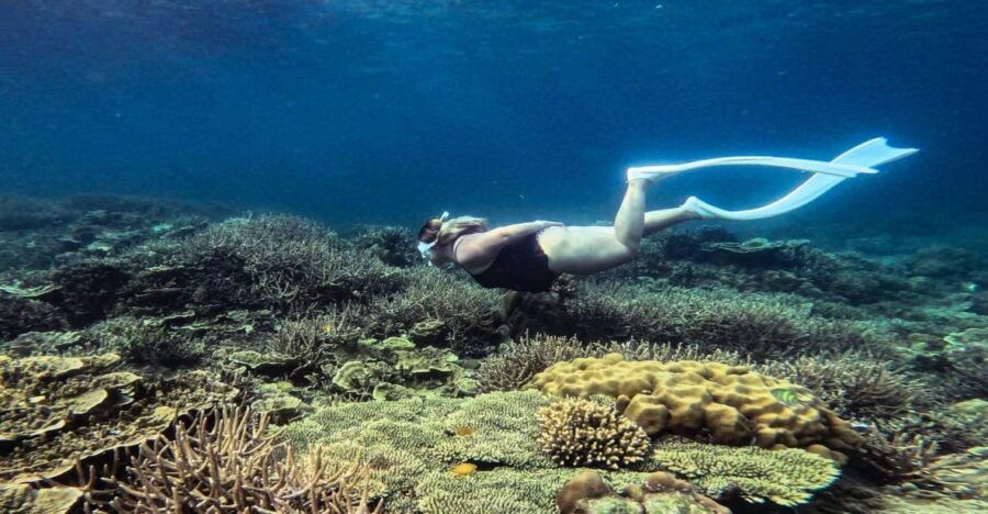 Port Barton Full Day Island Hopping W/ Island Lunch - Good To Know