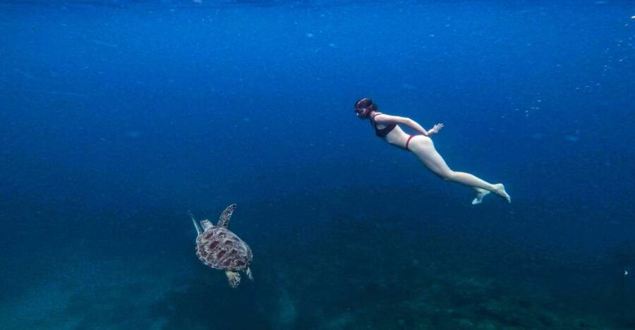 Port Barton: Private Highlights Tour. W/ Island Lunch - Good To Know