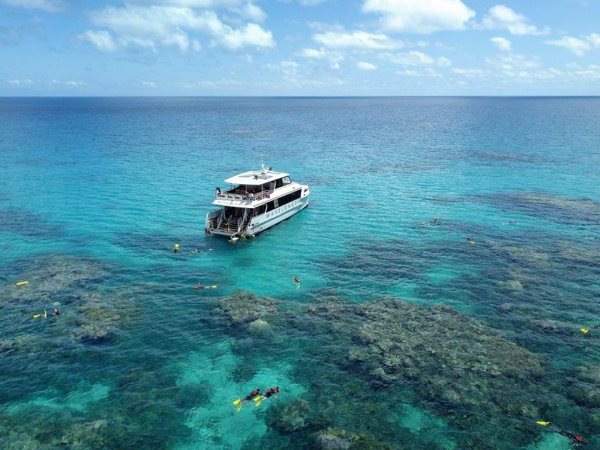 Port Douglas: Outer Great Barrier Reef Snorkeling Cruise - Good To Know