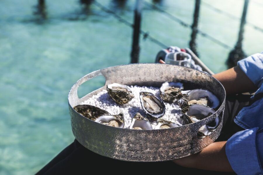 Port Lincoln: Coffin Bay Seafood, Wine, and Nature Day Trip - Good To Know