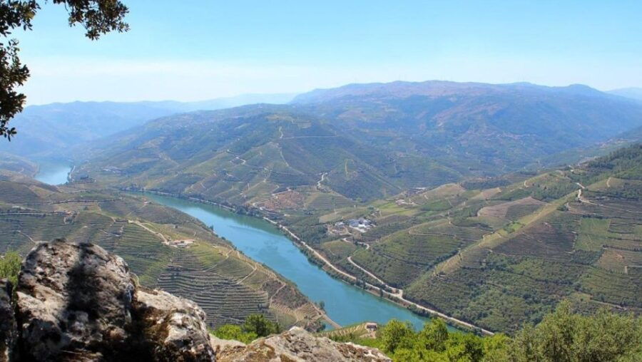 Porto: Douro Valley Excellence Tour, Cruise, Lunch & Winery - Good To Know