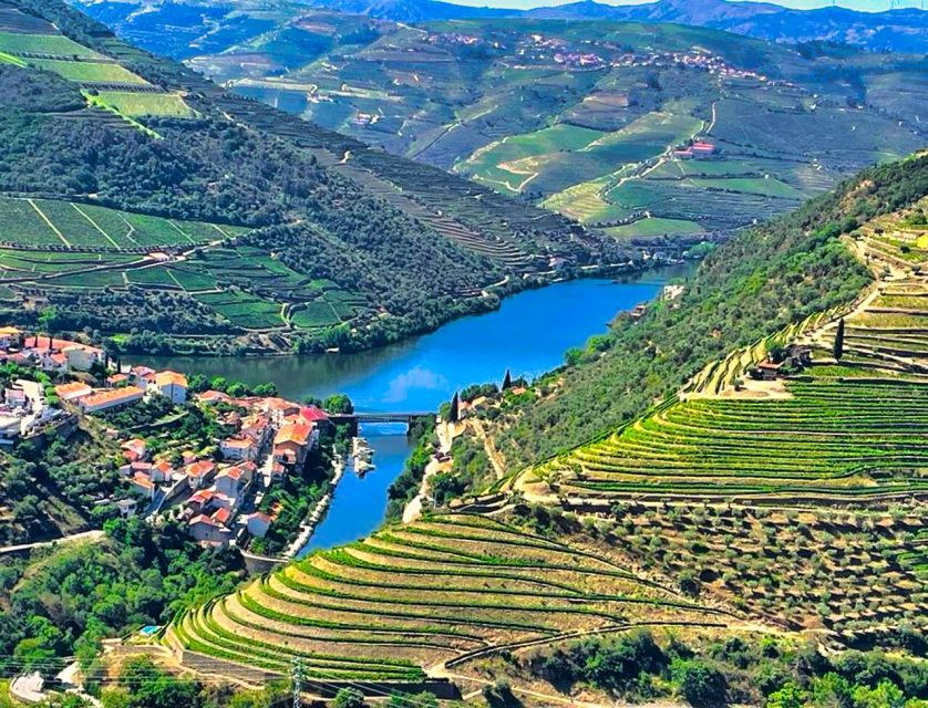 Porto: Douro Valley Private Tour 2 Vineyards & River Cruise - Good To Know