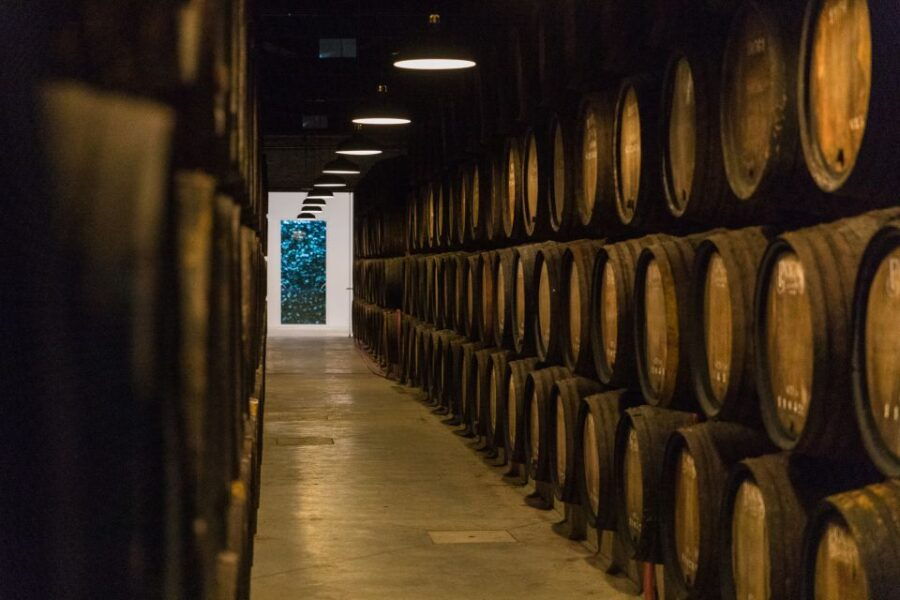 Porto: Guided Tour & Tasting of DOC Douro & Port Wines - Good To Know