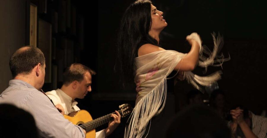 Porto: Intimate Fado Concert Ticket With a Glass of Wine